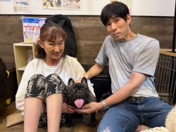 (テルルン　フレンチブルドッグ).JPG