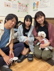 (パッタン　トイプードル).JPG