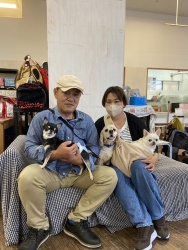 (コーエ スムースコートチワワ).jpg