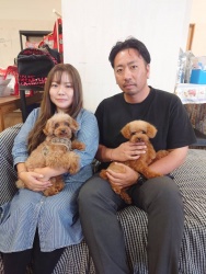 (ジェリ トイプードル).jpg