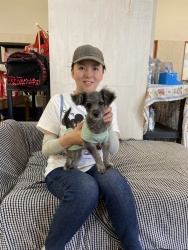 (フレンジー ミックス犬(トイプードルとチワワ)).jpg