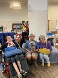 (ロン トイプードル).jpg