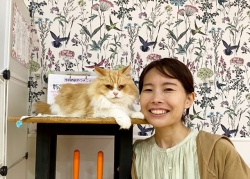(ベルルン　スコティッシュフォールド).JPG
