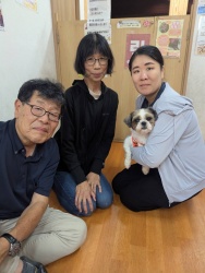 (コーティ　シーズー).JPG