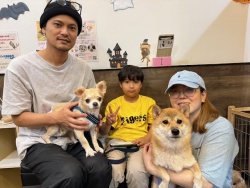 (はなやか　柴犬).JPG