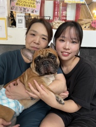 (まつちよ　フレンチブルドッグ).JPG