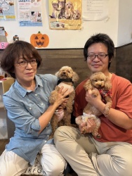 (パネトーネ　トイプードル).JPG
