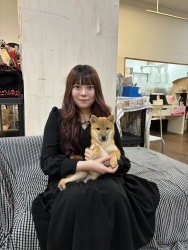 (ちゃぶろう　柴犬).jpg