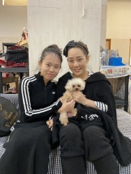 (マロン ミックス犬(チワワとトイプードル)).jpg