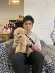 (みかん ミックス犬(ビジョンフリーゼとトイプードル)).jpg