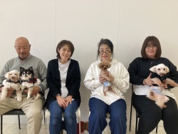 (あっくん トイプードル).jpg