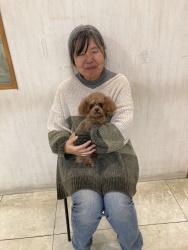 (マロン トイプードル).jpg