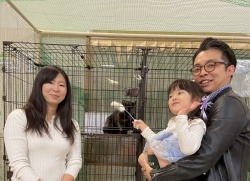 (うえちゃん アメリカンカール).jpg