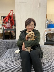 (ベルリ ヨークシャテリア).jpg