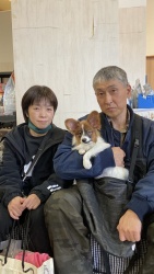 (めるる パピヨン).jpg