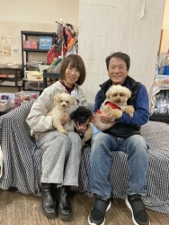 (みみい トイプードル).jpg