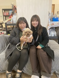 (ラッフィー トイプードル).jpg