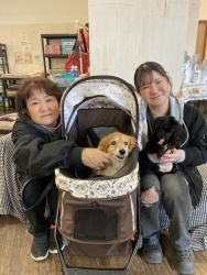 (ワイン MIX犬(トイプードルとチワワ)).jpg