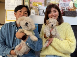 (ルーベラ　トイプードル).JPG