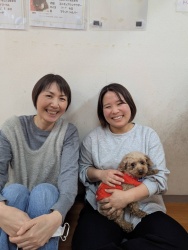 (こちょう　トイプードル).JPG