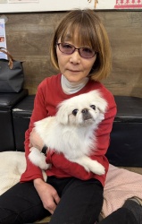 (パティカ　ペキニーズ).JPG