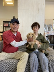 (おしゃ ミニチュアダックスフンド).jpg