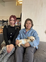 (ロングコートチワワ つなぐ).jpg