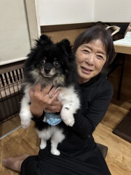 (ごっちゃん　ポメラニアン).JPG