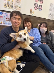 (リンドウ　ウェルシュコーギーペンブローク).JPG
