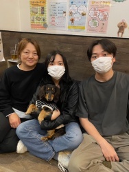 (タトル　ミニチュアダックスフンド).JPG