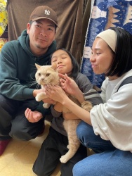 (おしょう　スコティッシュフォールド).JPG