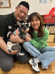 (クラシカル　ミニチュアシュナウザー).JPG