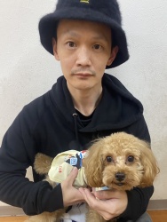 (ポワリ　トイプードル).JPG