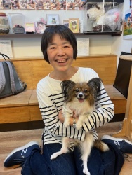 (しゃくやく　パピヨン).JPG