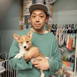 (らみい　ウェルッシュコーギーペンブローク).jpg