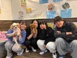 (ジャミール　トイプードル).JPG