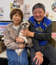 (ステビア　シーズー).JPG