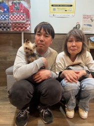 (キーサ　ヨークシャーテリア).JPG