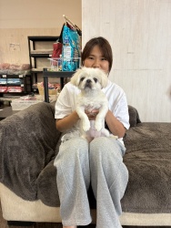 (ガトー ペキニーズ).jpg