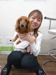 (ミムラス　カニンヘンダックスフンド).JPG