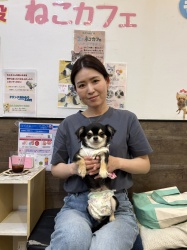 (きのか　ロングコートチワワ).JPG