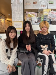 (だんしゃく　ロングコートチワワ).JPG