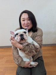 (パイナプー　フレンチブルドッグ).JPG