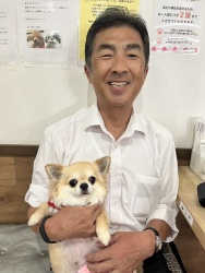 (リノール　ロングコートチワワ).JPG