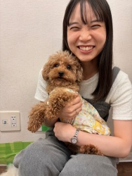 (フリオ　トイプードル).JPG