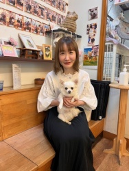 (アミナス　ロングコートチワワ).JPG