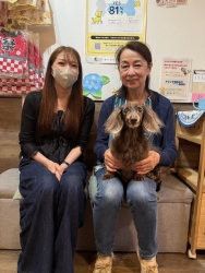 (らん　ミニチュアダックスフンド).JPG