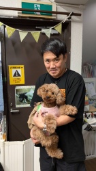(コマ　トイプードル).jpg