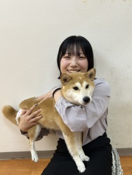 (ふじさん　柴犬).JPG