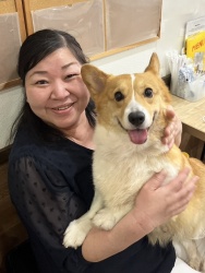 (あきばえ　ウェルシュコーギーペンブローク).JPG
